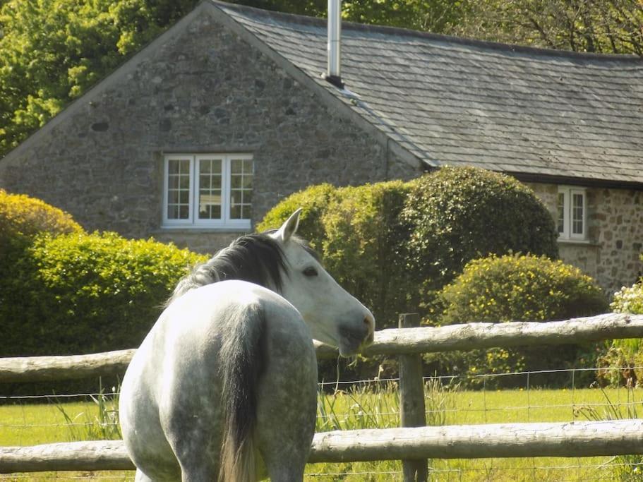 Lower Willsworthy Cottage Tavistock  Exterior foto